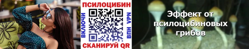 Псилоцибиновые грибы прущие грибы  где можно купить   Няндома 